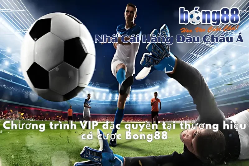 Chương trình VIP đặc quyền tại Bong88