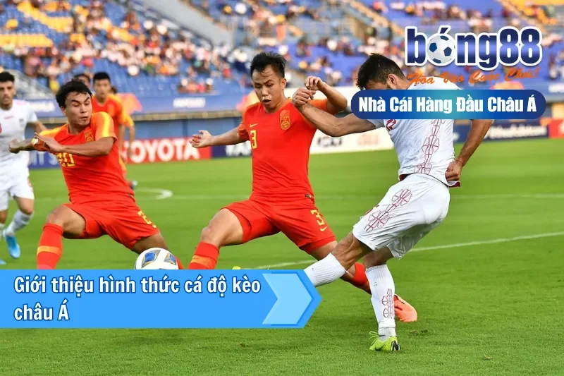 Giới thiệu hình thức cá độ kèo châu Á tại Bong88