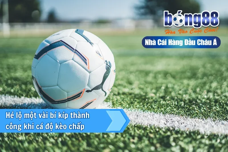 Kinh nghiệm chơi kèo châu Á hiệu quả cho người mới