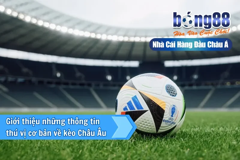 Giới thiệu những thông tin cơ bản về kèo châu Âu 1X2