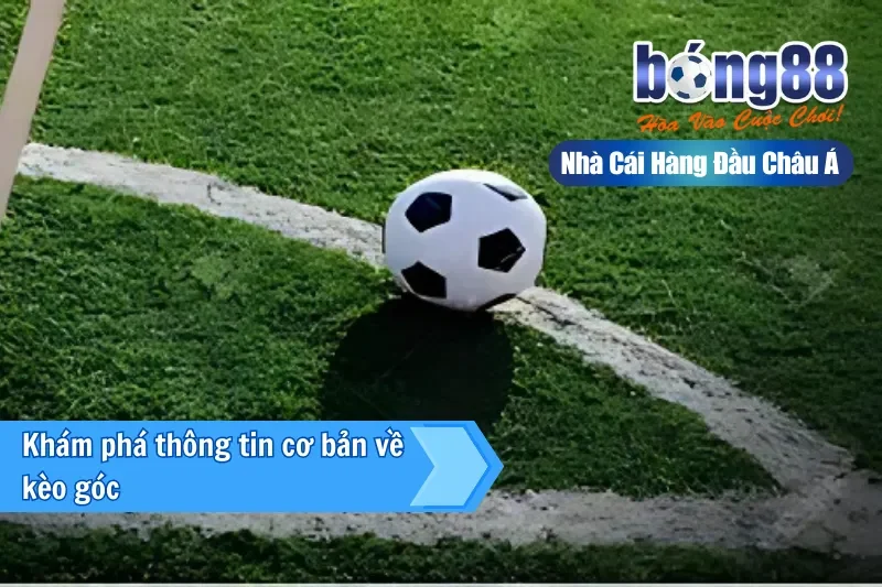 Khám phá thông tin cơ bản về kèo góc tại Bong88