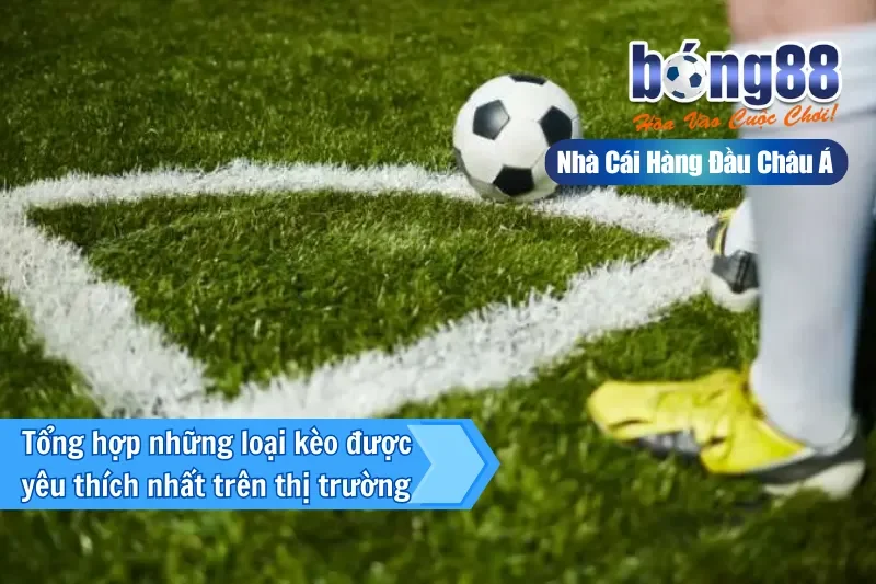 Các yếu tố ảnh hưởng đến số quả phạt góc trong trận