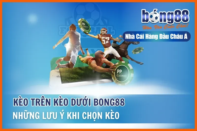 Kèo Trên Kèo Dưới Là Gì? Hiểu Đúng Vị Thế & Khai Thác Giá Trị Cửa Dưới