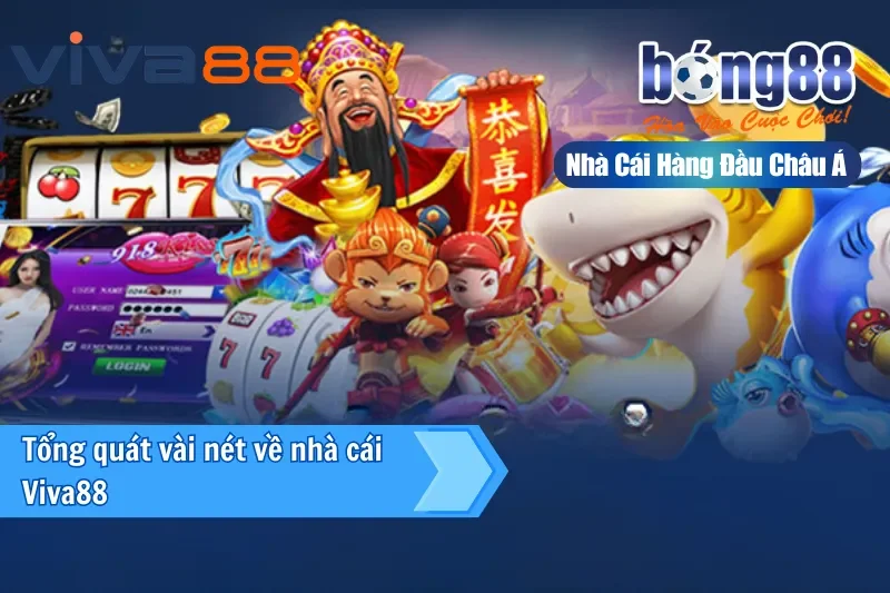 Đôi nét về đại lý Viva88 - kênh lâu năm nhất của Bong88
