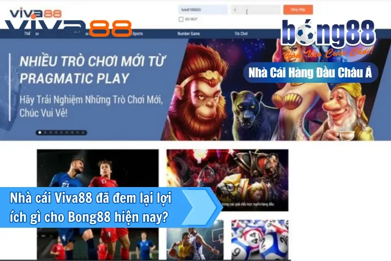 Quyền lợi khi mở tài khoản Bong88 qua đại lý Viva88